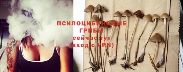 a pvp Арсеньев